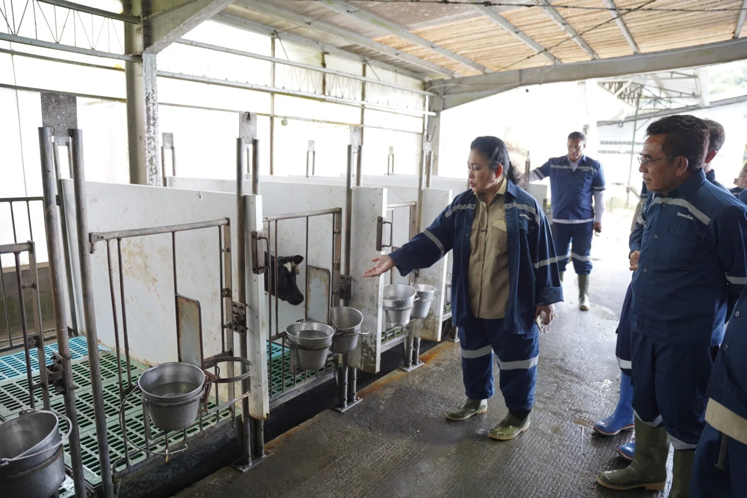 Stop Impor Susu Bubuk! Komisi IV DPR RI Desak Intervensi Kebijakan, Produk Lokal Fresh Milk Lebih Bergizi Tapi Kontribusi Industri Cuma 14%