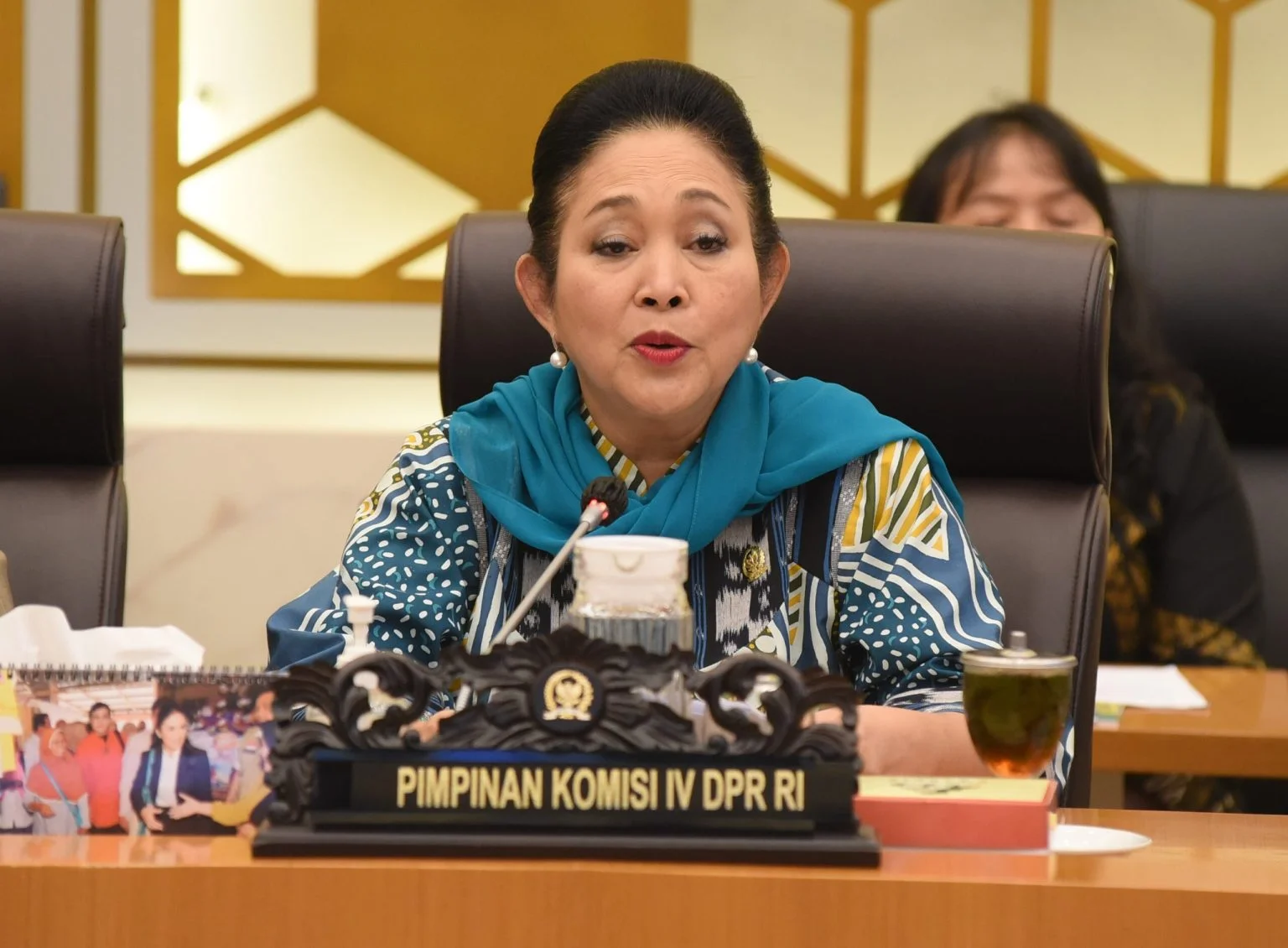 Hutan Sibolga Dicurigai Ditebang Massal! Titiek Soeharto Minta Menhut Selidiki Perusahaan Pengangkut Kayu Berdiameter 1,5 Meter, Tak Mau Sekadar Moratorium