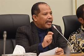 Pembukaan Sawit di Papua Harus Pertimbangkan Keselamatan Lingkungan dan Keadilan Sosial