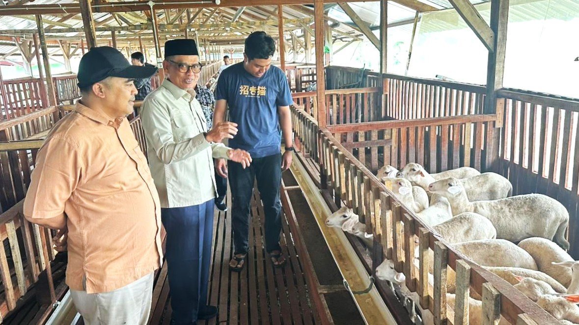 Inovasi Ala Wagyu Jepang, Fikri Faqih Puji Kreativitas Peternak Muda di Tegal