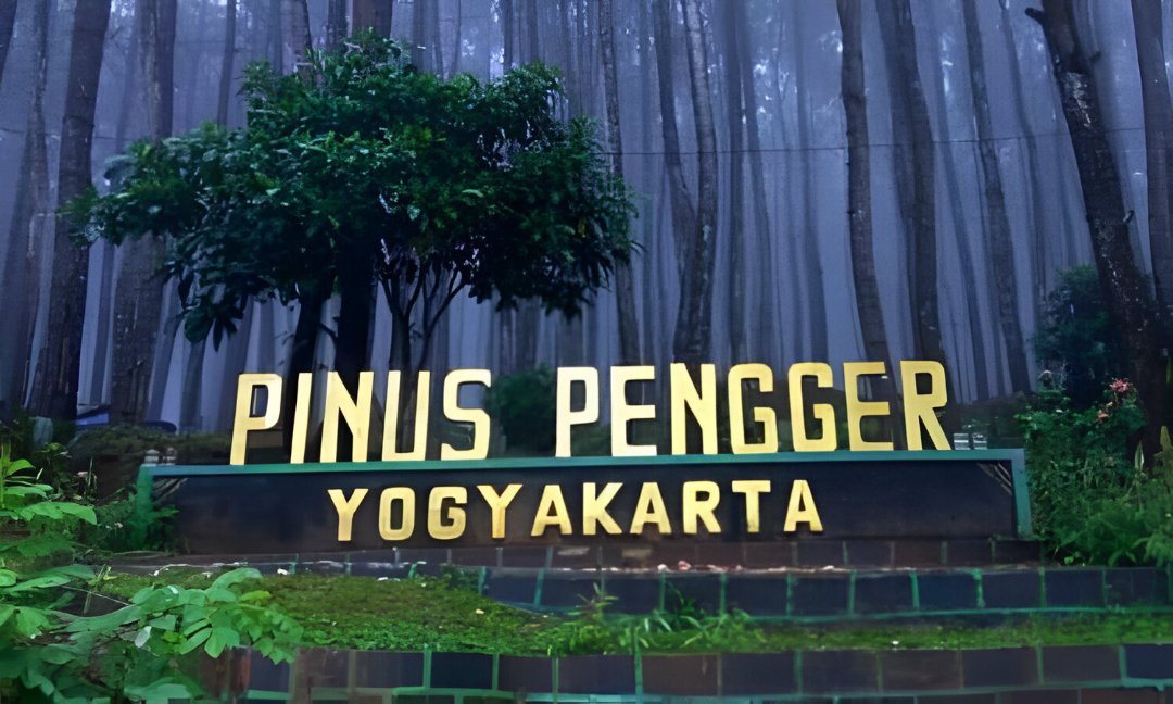 Hutan Pinus Pengger Jadi Oase Healing Saat Libur Nataru, Wisata Alam Berbasis Warga Dlingo